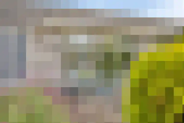 Mainelaan 104 Eindhoven thumbnail 29