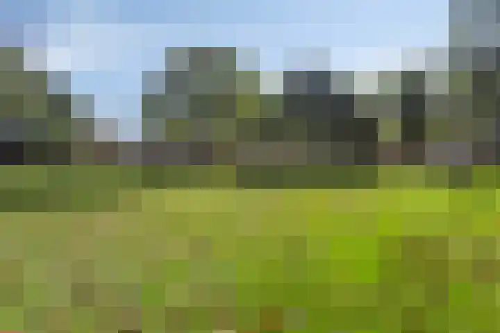 Mainelaan 104 Eindhoven thumbnail 36