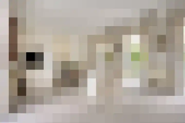 Mainelaan 104 Eindhoven thumbnail 9