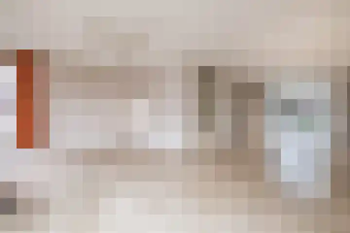 Mainelaan 141 Eindhoven thumbnail 13
