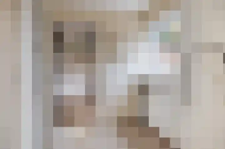 Mainelaan 141 Eindhoven thumbnail 24