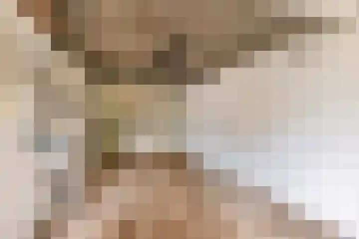 Mainelaan 141 Eindhoven thumbnail 25