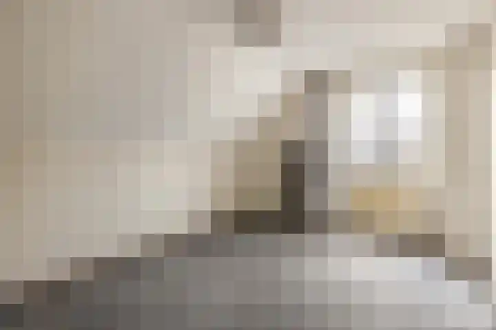 Mainelaan 141 Eindhoven thumbnail 34