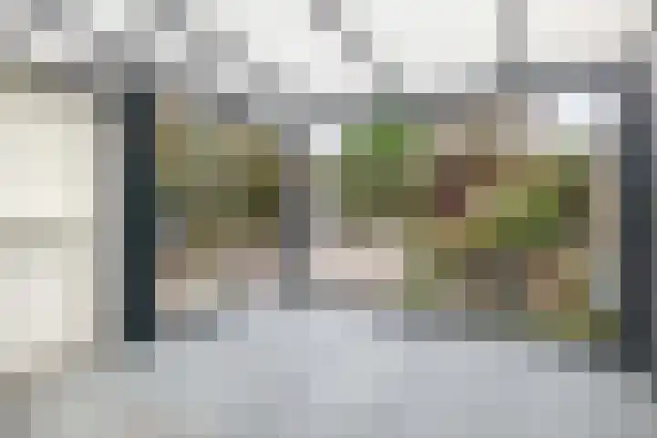 Mainelaan 141 Eindhoven thumbnail 4