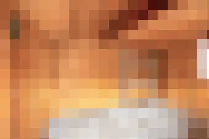 Mainelaan 141 Eindhoven thumbnail 44