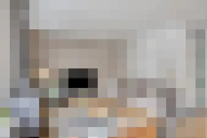 Mainelaan 151 Eindhoven thumbnail 11
