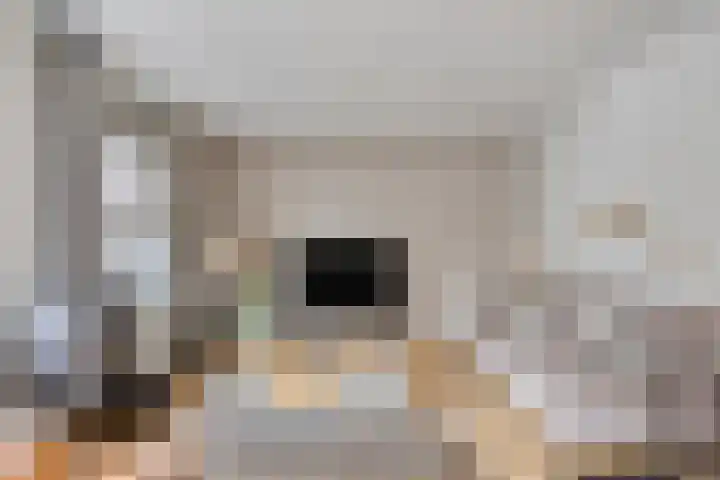 Mainelaan 151 Eindhoven thumbnail 12