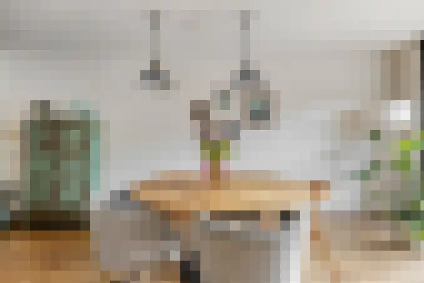 Mainelaan 151 Eindhoven thumbnail 15