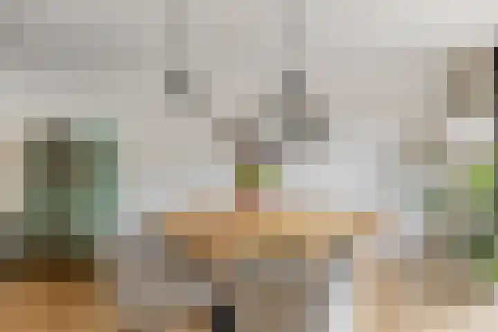 Mainelaan 151 Eindhoven thumbnail 15