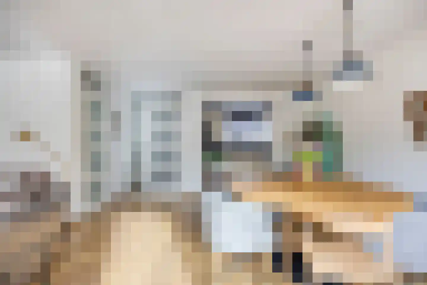 Mainelaan 151 Eindhoven thumbnail 17