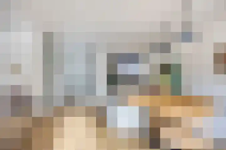 Mainelaan 151 Eindhoven thumbnail 17