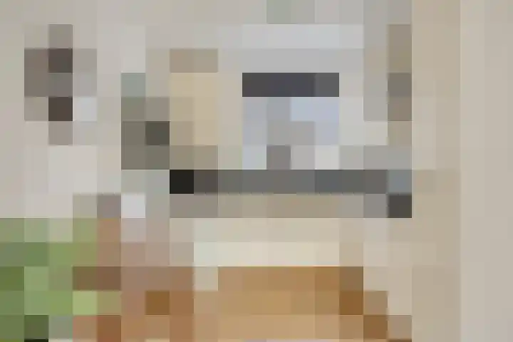 Mainelaan 151 Eindhoven thumbnail 19
