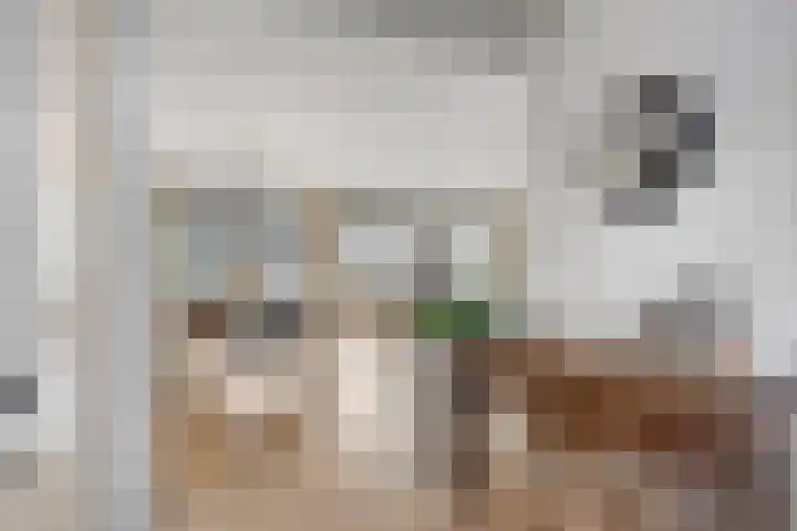 Mainelaan 151 Eindhoven thumbnail 22
