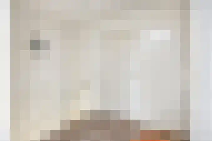 Mainelaan 151 Eindhoven thumbnail 25