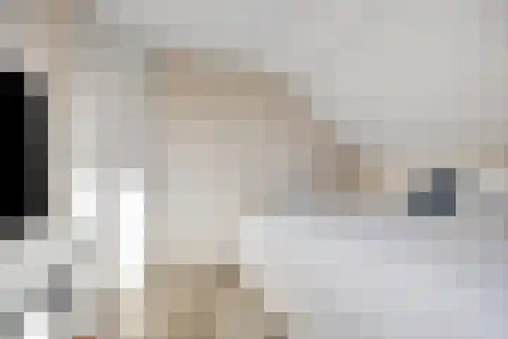 Mainelaan 151 Eindhoven thumbnail 26