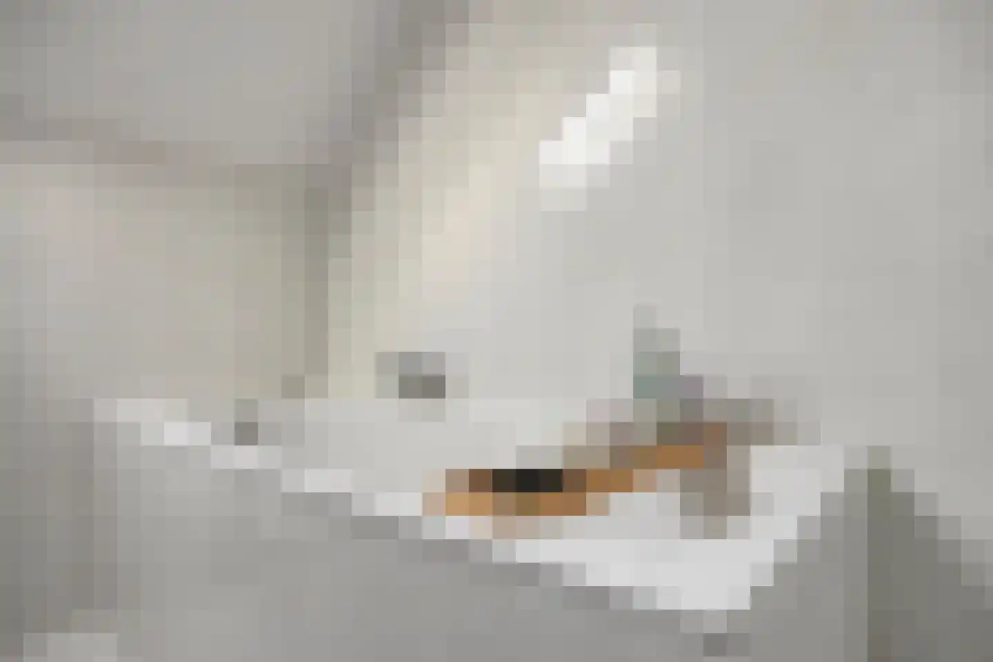 Mainelaan 151 Eindhoven thumbnail 29