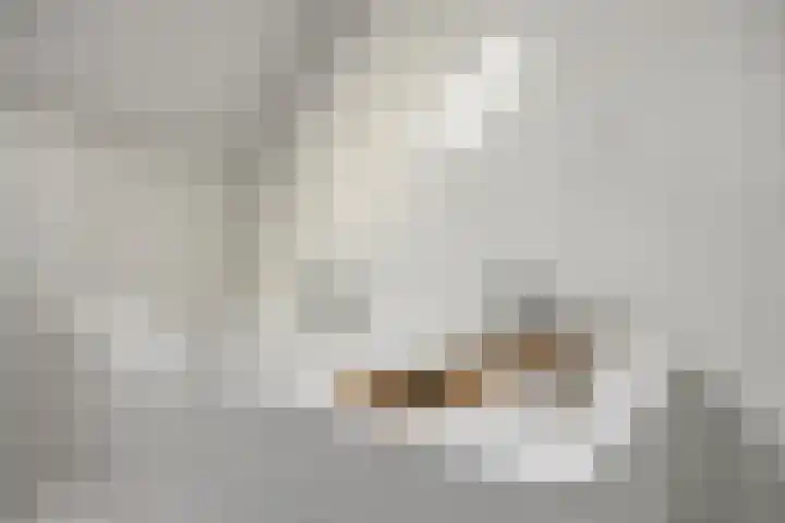 Mainelaan 151 Eindhoven thumbnail 29
