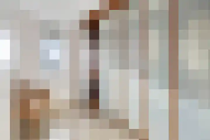 Mainelaan 151 Eindhoven thumbnail 31