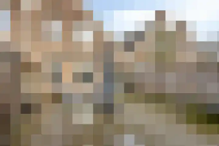 Mainelaan 151 Eindhoven thumbnail 39