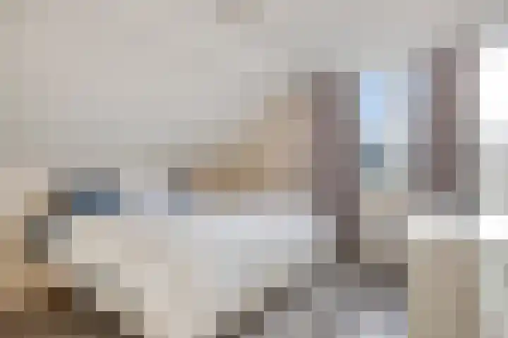 Mainelaan 151 Eindhoven thumbnail 4