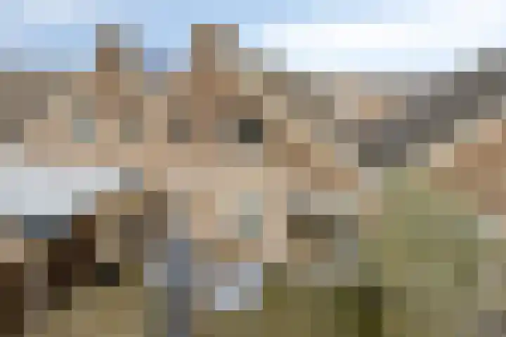 Mainelaan 151 Eindhoven thumbnail 42