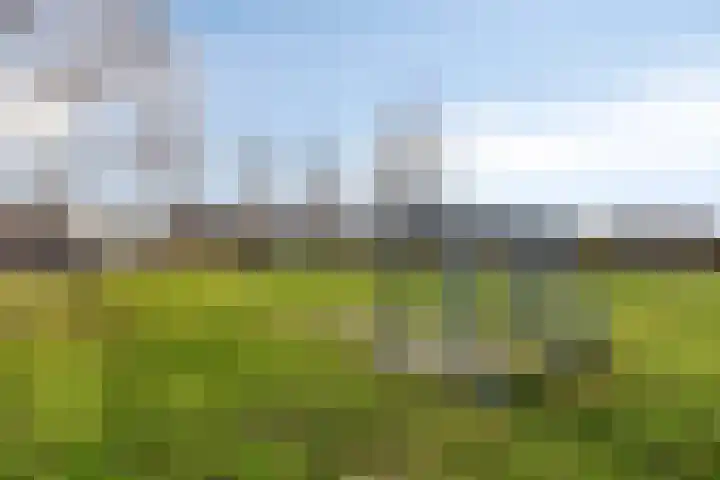 Mainelaan 151 Eindhoven thumbnail 52