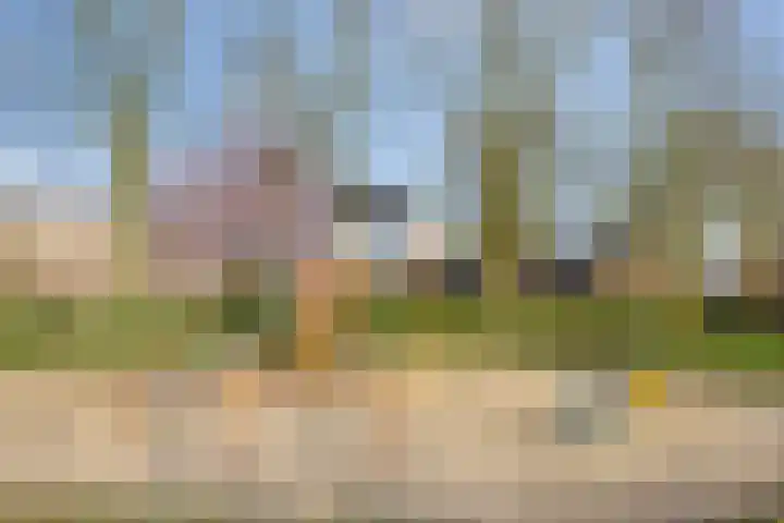Mainelaan 151 Eindhoven thumbnail 53