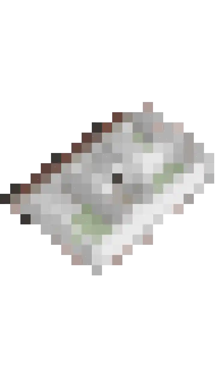 Mainelaan 151 Eindhoven thumbnail 57