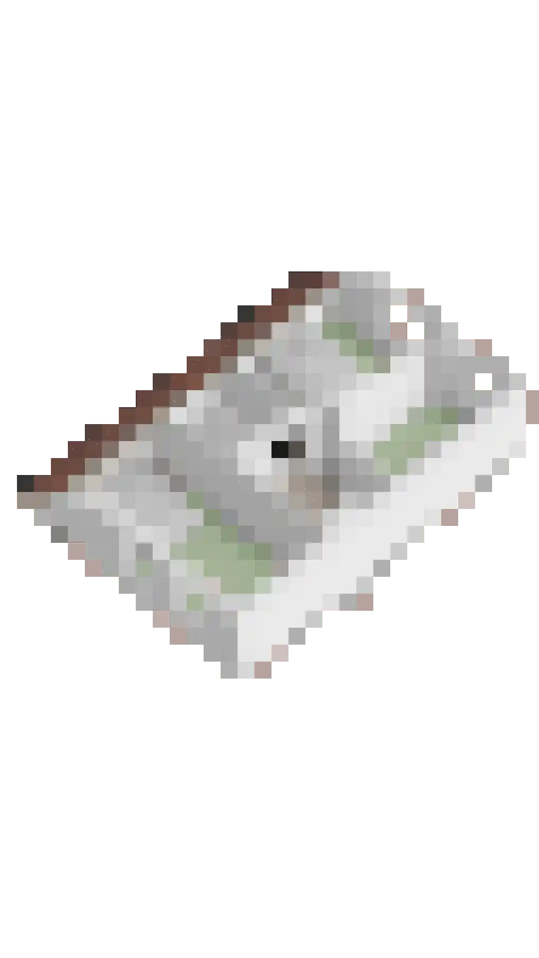 Mainelaan 151 Eindhoven thumbnail 57