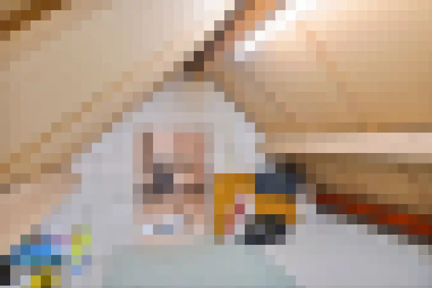 Mainelaan 153 Eindhoven thumbnail 26