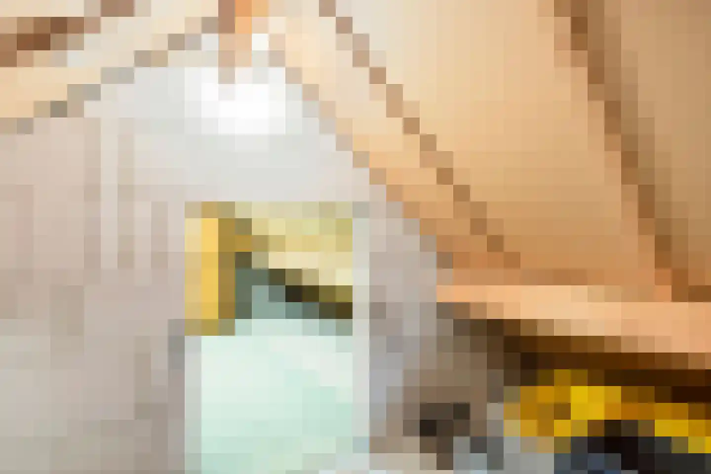 Mainelaan 153 Eindhoven thumbnail 27