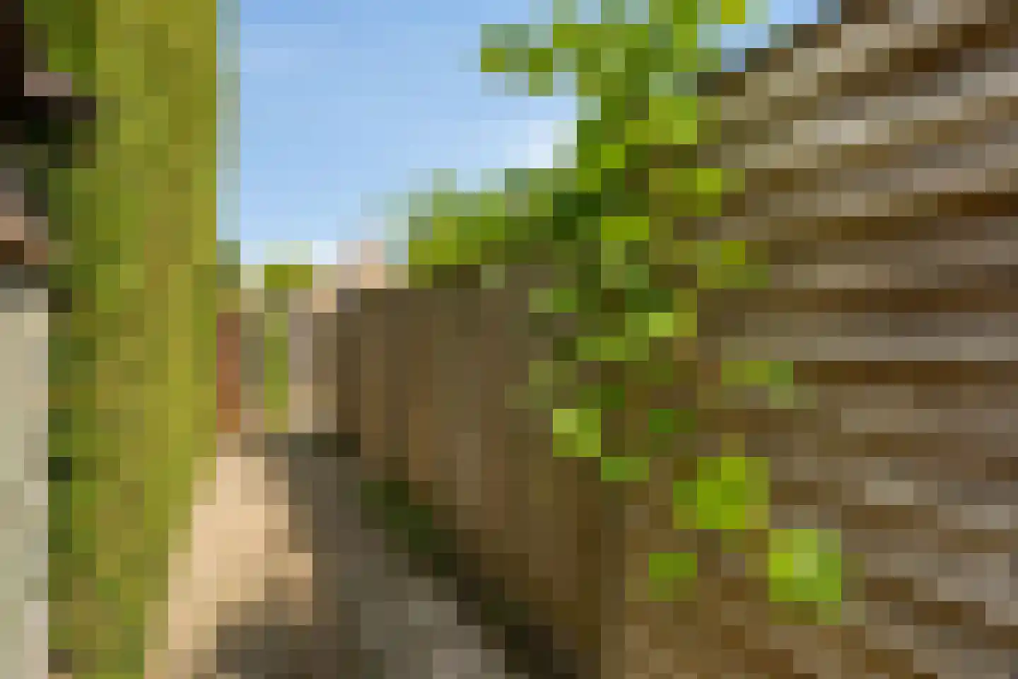Mainelaan 153 Eindhoven thumbnail 39