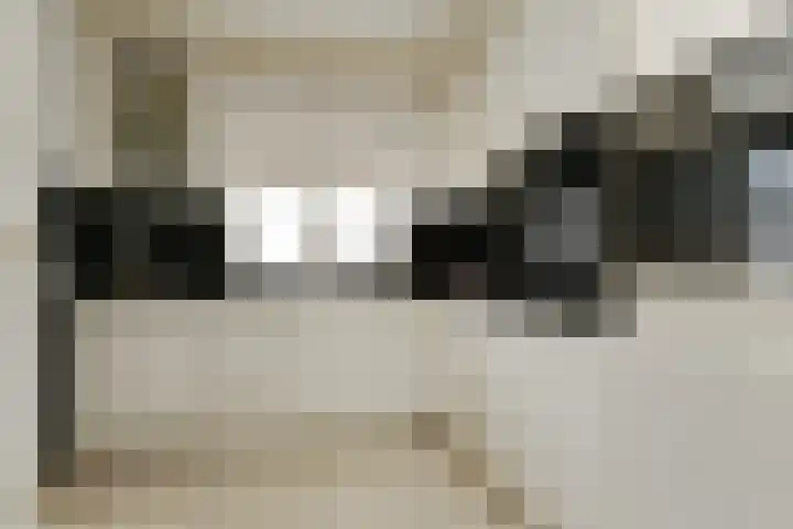 Mainelaan 29 Eindhoven thumbnail 11