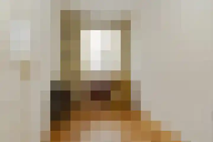 Mainelaan 29 Eindhoven thumbnail 18