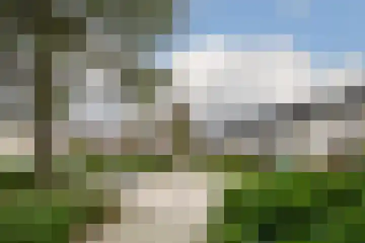 Mainelaan 29 Eindhoven thumbnail 27