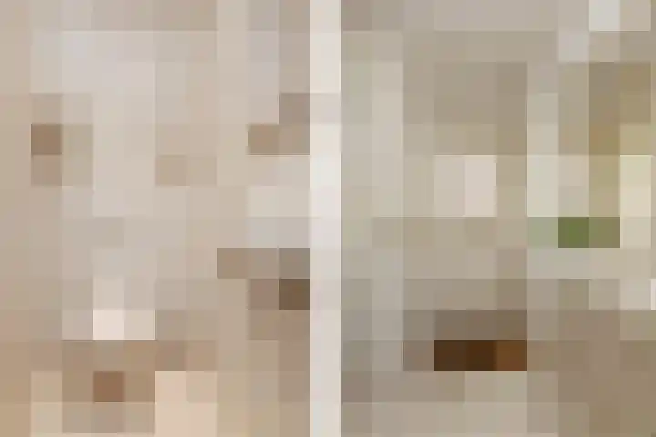 Mainelaan 29 Eindhoven thumbnail 6