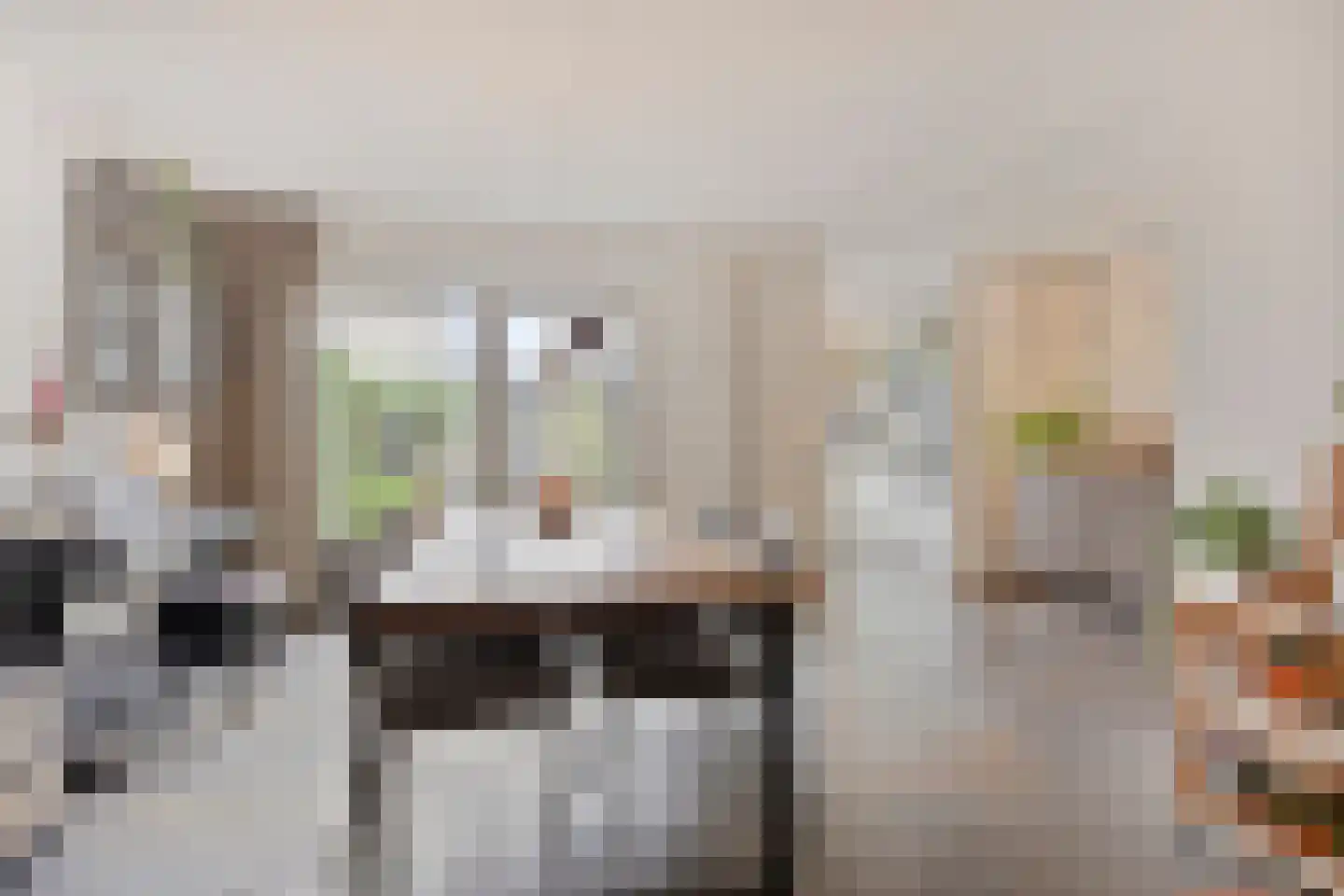 Mainelaan 5 Eindhoven thumbnail 12