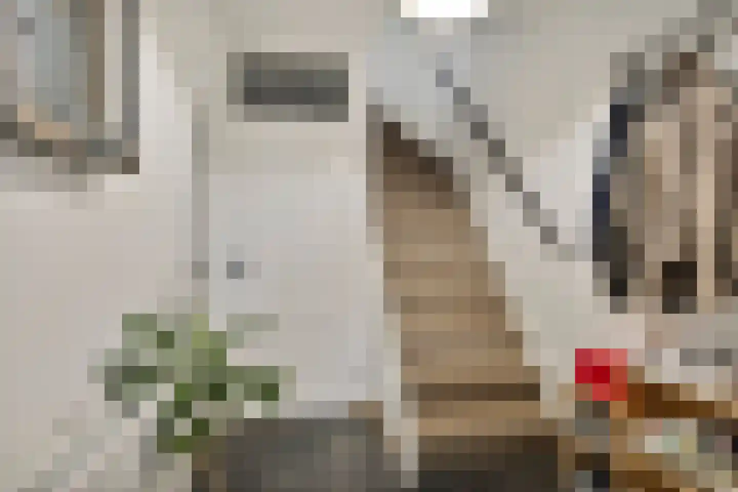 Mainelaan 5 Eindhoven thumbnail 28