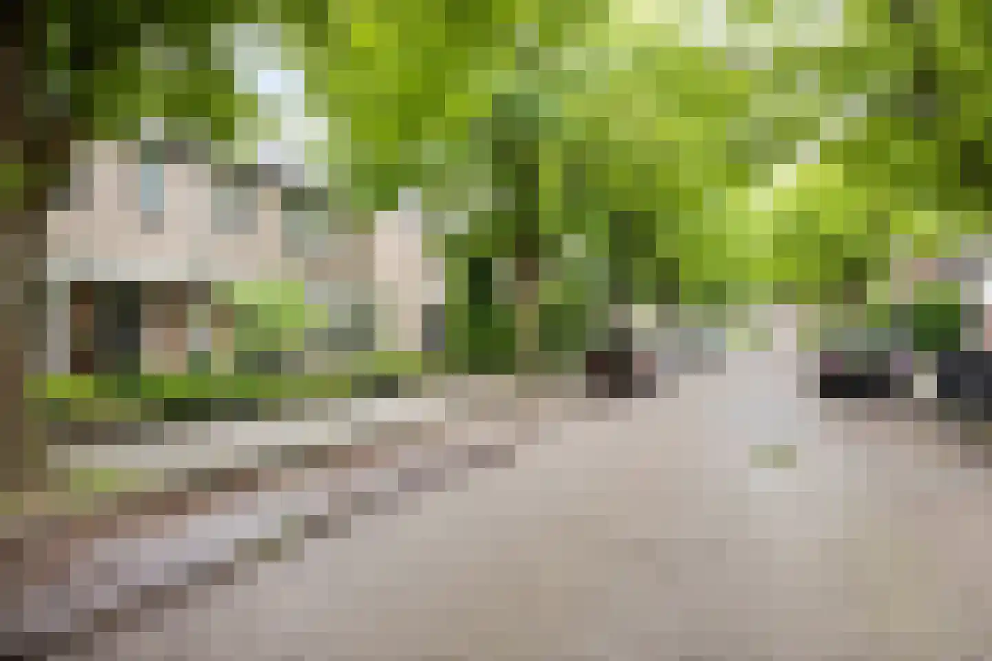 Mainelaan 5 Eindhoven thumbnail 70