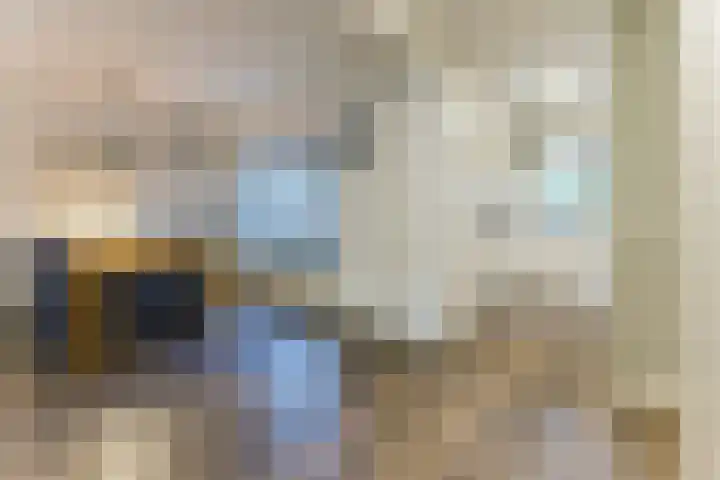 Mainelaan 55 Eindhoven thumbnail 10