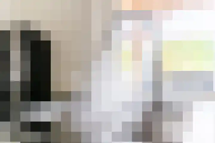 Mainelaan 55 Eindhoven thumbnail 14