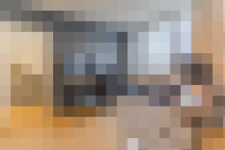 Mainelaan 55 Eindhoven thumbnail 21