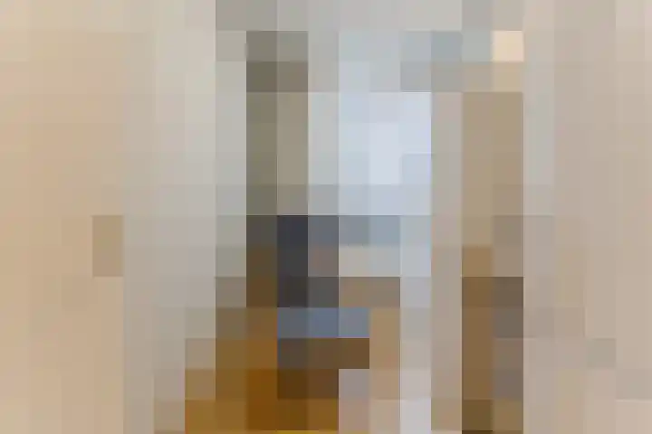 Mainelaan 55 Eindhoven thumbnail 22