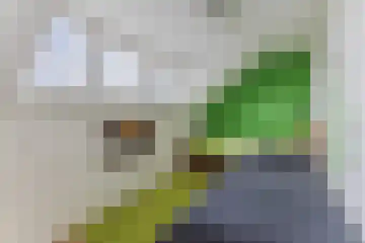 Mainelaan 55 Eindhoven thumbnail 28