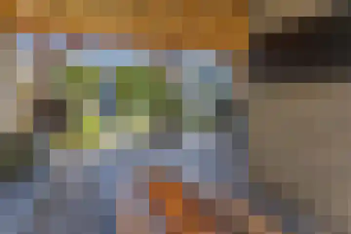 Mainelaan 55 Eindhoven thumbnail 31