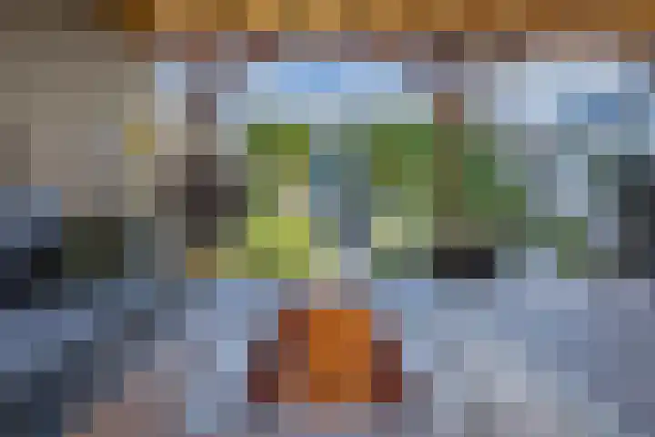 Mainelaan 55 Eindhoven thumbnail 32