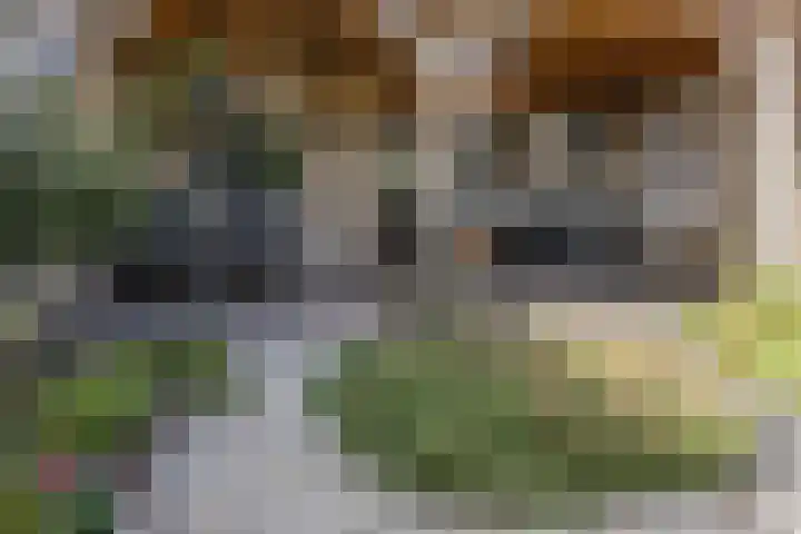 Mainelaan 55 Eindhoven thumbnail 34