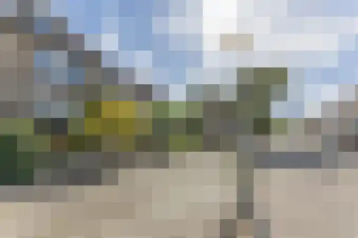 Mainelaan 55 Eindhoven thumbnail 39