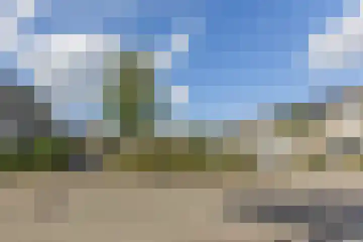 Mainelaan 55 Eindhoven thumbnail 40