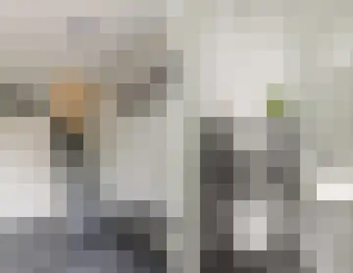 Mainelaan 55 Eindhoven thumbnail 5